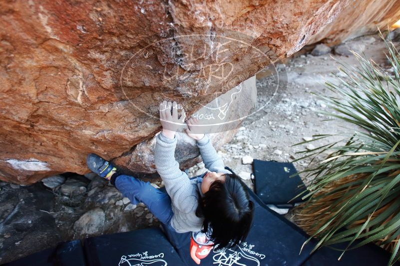 Bouldering in Hueco Tanks on 12/30/2018 with Blue Lizard Climbing and Yoga

Filename: SRM_20181230_1622400.jpg
Aperture: f/3.2
Shutter Speed: 1/200
Body: Canon EOS-1D Mark II
Lens: Canon EF 16-35mm f/2.8 L
