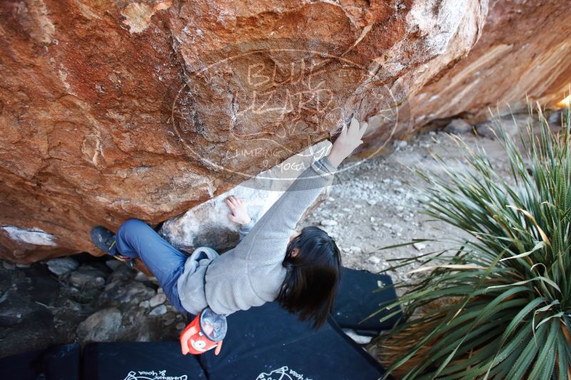 Bouldering in Hueco Tanks on 12/30/2018 with Blue Lizard Climbing and Yoga

Filename: SRM_20181230_1622430.jpg
Aperture: f/3.2
Shutter Speed: 1/200
Body: Canon EOS-1D Mark II
Lens: Canon EF 16-35mm f/2.8 L
