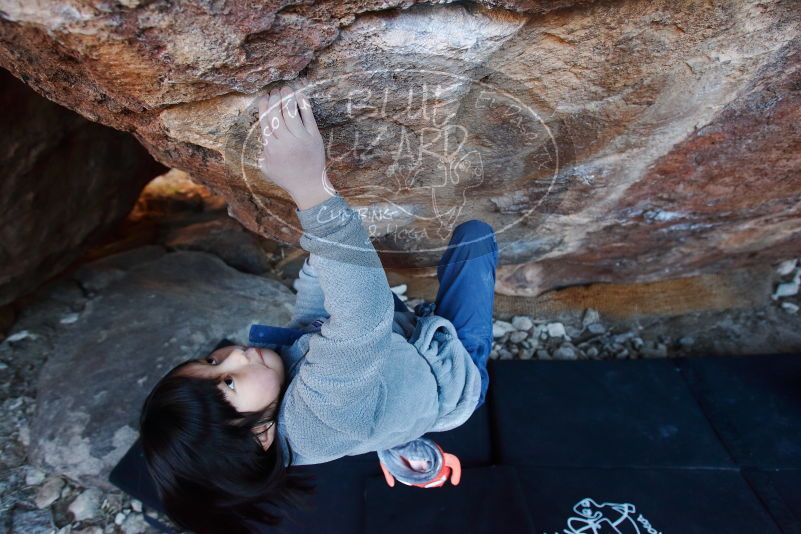 Bouldering in Hueco Tanks on 12/30/2018 with Blue Lizard Climbing and Yoga

Filename: SRM_20181230_1655220.jpg
Aperture: f/4.0
Shutter Speed: 1/200
Body: Canon EOS-1D Mark II
Lens: Canon EF 16-35mm f/2.8 L