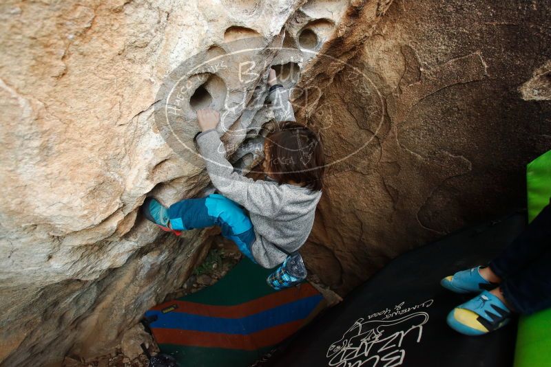 Bouldering in Hueco Tanks on 01/01/2019 with Blue Lizard Climbing and Yoga

Filename: SRM_20190101_1038320.jpg
Aperture: f/3.2
Shutter Speed: 1/200
Body: Canon EOS-1D Mark II
Lens: Canon EF 16-35mm f/2.8 L