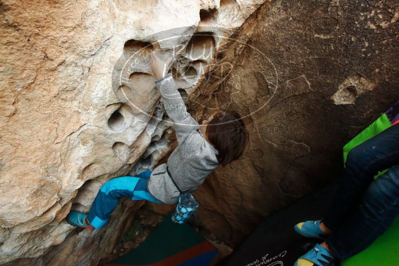 Bouldering in Hueco Tanks on 01/01/2019 with Blue Lizard Climbing and Yoga

Filename: SRM_20190101_1038341.jpg
Aperture: f/3.5
Shutter Speed: 1/200
Body: Canon EOS-1D Mark II
Lens: Canon EF 16-35mm f/2.8 L