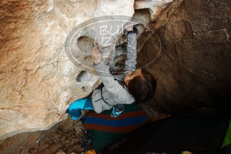 Bouldering in Hueco Tanks on 01/01/2019 with Blue Lizard Climbing and Yoga

Filename: SRM_20190101_1038370.jpg
Aperture: f/3.5
Shutter Speed: 1/200
Body: Canon EOS-1D Mark II
Lens: Canon EF 16-35mm f/2.8 L