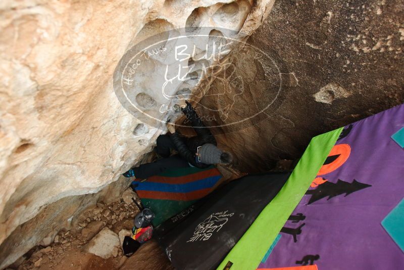 Bouldering in Hueco Tanks on 01/01/2019 with Blue Lizard Climbing and Yoga

Filename: SRM_20190101_1042260.jpg
Aperture: f/3.2
Shutter Speed: 1/200
Body: Canon EOS-1D Mark II
Lens: Canon EF 16-35mm f/2.8 L