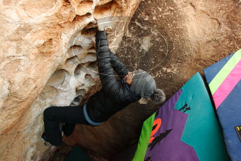 Bouldering in Hueco Tanks on 01/01/2019 with Blue Lizard Climbing and Yoga

Filename: SRM_20190101_1042410.jpg
Aperture: f/4.0
Shutter Speed: 1/200
Body: Canon EOS-1D Mark II
Lens: Canon EF 16-35mm f/2.8 L