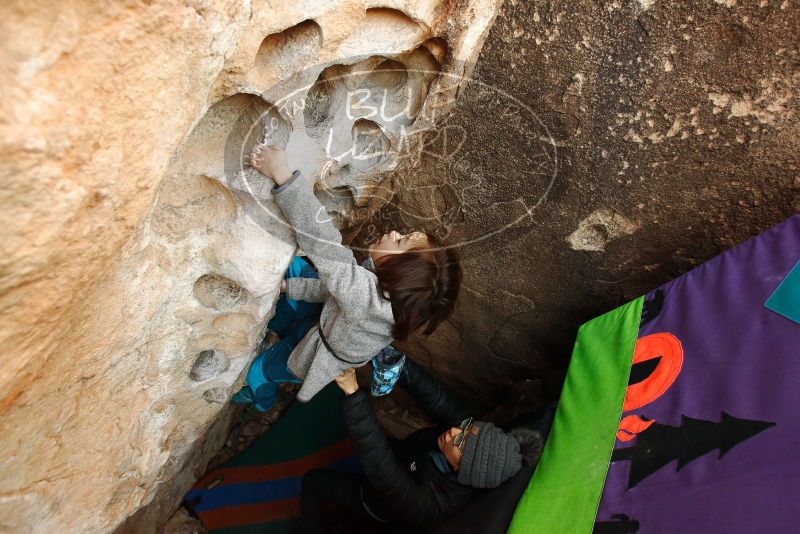 Bouldering in Hueco Tanks on 01/01/2019 with Blue Lizard Climbing and Yoga

Filename: SRM_20190101_1049210.jpg
Aperture: f/4.0
Shutter Speed: 1/200
Body: Canon EOS-1D Mark II
Lens: Canon EF 16-35mm f/2.8 L