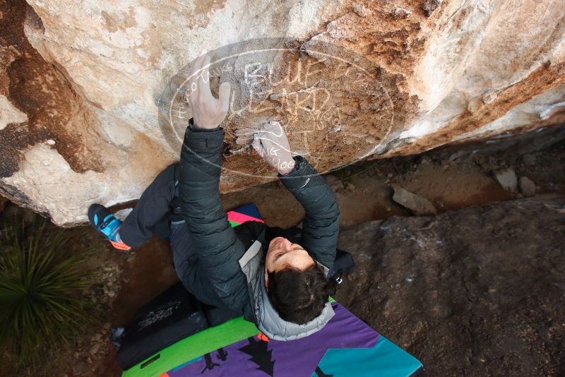 Bouldering in Hueco Tanks on 01/01/2019 with Blue Lizard Climbing and Yoga

Filename: SRM_20190101_1112300.jpg
Aperture: f/5.0
Shutter Speed: 1/200
Body: Canon EOS-1D Mark II
Lens: Canon EF 16-35mm f/2.8 L