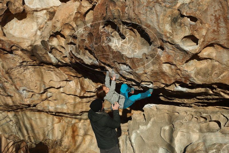 Bouldering in Hueco Tanks on 01/01/2019 with Blue Lizard Climbing and Yoga

Filename: SRM_20190101_1653430.jpg
Aperture: f/4.0
Shutter Speed: 1/1000
Body: Canon EOS-1D Mark II
Lens: Canon EF 50mm f/1.8 II