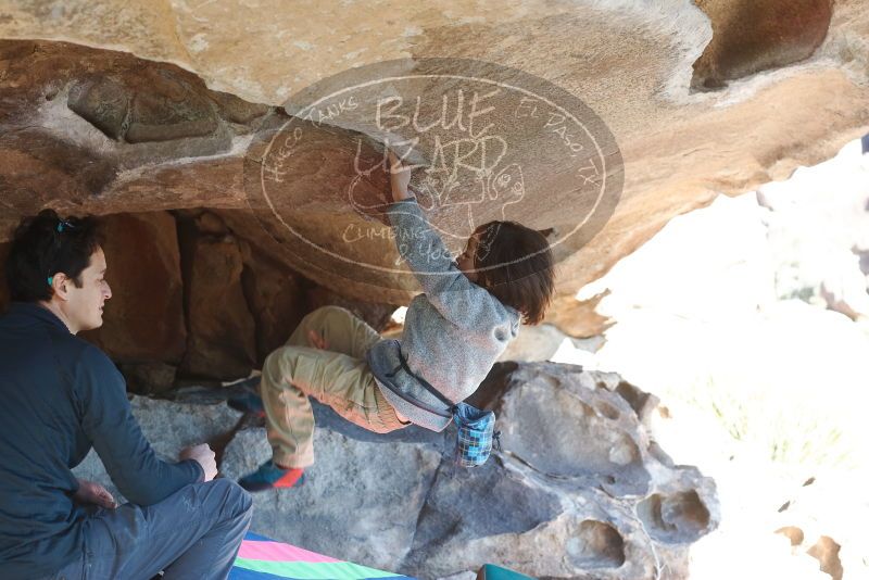 Bouldering in Hueco Tanks on 12/31/2018 with Blue Lizard Climbing and Yoga

Filename: SRM_20181231_1510240.jpg
Aperture: f/4.0
Shutter Speed: 1/320
Body: Canon EOS-1D Mark II
Lens: Canon EF 50mm f/1.8 II