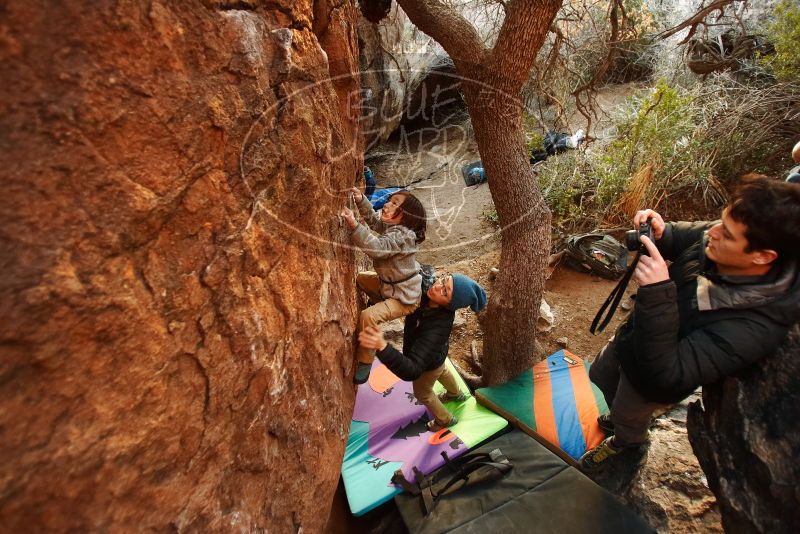 Bouldering in Hueco Tanks on 12/31/2018 with Blue Lizard Climbing and Yoga

Filename: SRM_20181231_1756140.jpg
Aperture: f/2.8
Shutter Speed: 1/125
Body: Canon EOS-1D Mark II
Lens: Canon EF 16-35mm f/2.8 L