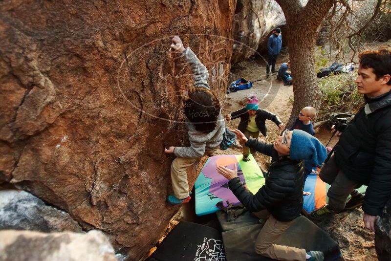 Bouldering in Hueco Tanks on 12/31/2018 with Blue Lizard Climbing and Yoga

Filename: SRM_20181231_1757530.jpg
Aperture: f/2.8
Shutter Speed: 1/100
Body: Canon EOS-1D Mark II
Lens: Canon EF 16-35mm f/2.8 L