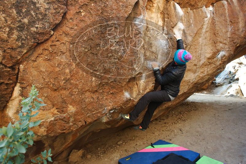 Bouldering in Hueco Tanks on 01/02/2019 with Blue Lizard Climbing and Yoga

Filename: SRM_20190102_1022590.jpg
Aperture: f/5.0
Shutter Speed: 1/250
Body: Canon EOS-1D Mark II
Lens: Canon EF 16-35mm f/2.8 L