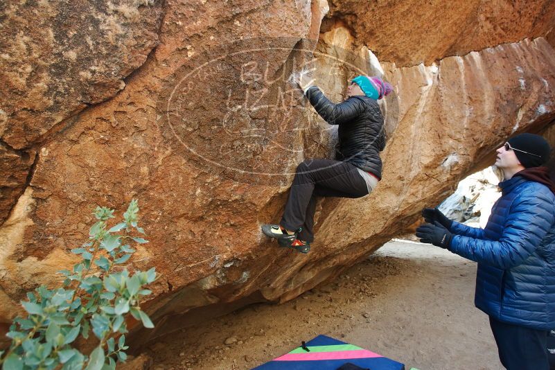 Bouldering in Hueco Tanks on 01/02/2019 with Blue Lizard Climbing and Yoga

Filename: SRM_20190102_1023440.jpg
Aperture: f/5.0
Shutter Speed: 1/250
Body: Canon EOS-1D Mark II
Lens: Canon EF 16-35mm f/2.8 L