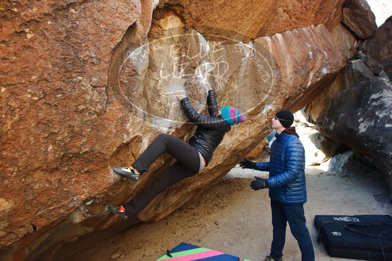 Bouldering in Hueco Tanks on 01/02/2019 with Blue Lizard Climbing and Yoga

Filename: SRM_20190102_1026510.jpg
Aperture: f/5.0
Shutter Speed: 1/250
Body: Canon EOS-1D Mark II
Lens: Canon EF 16-35mm f/2.8 L