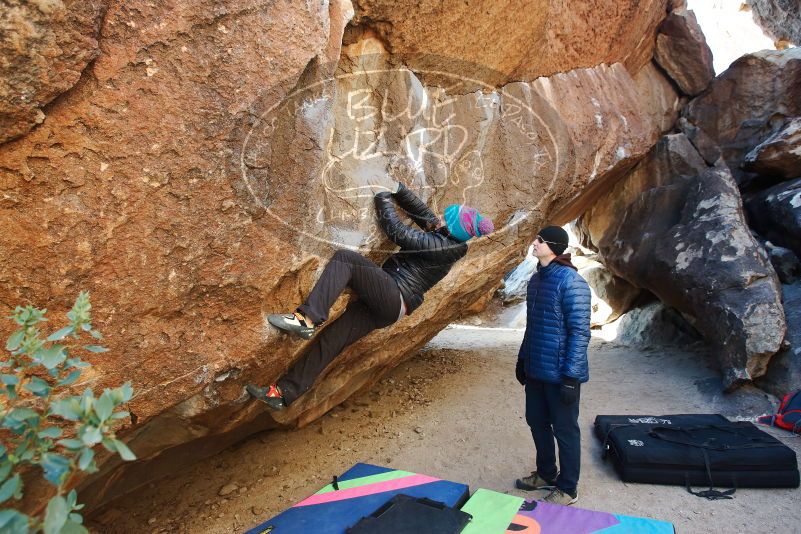 Bouldering in Hueco Tanks on 01/02/2019 with Blue Lizard Climbing and Yoga

Filename: SRM_20190102_1028440.jpg
Aperture: f/5.0
Shutter Speed: 1/200
Body: Canon EOS-1D Mark II
Lens: Canon EF 16-35mm f/2.8 L