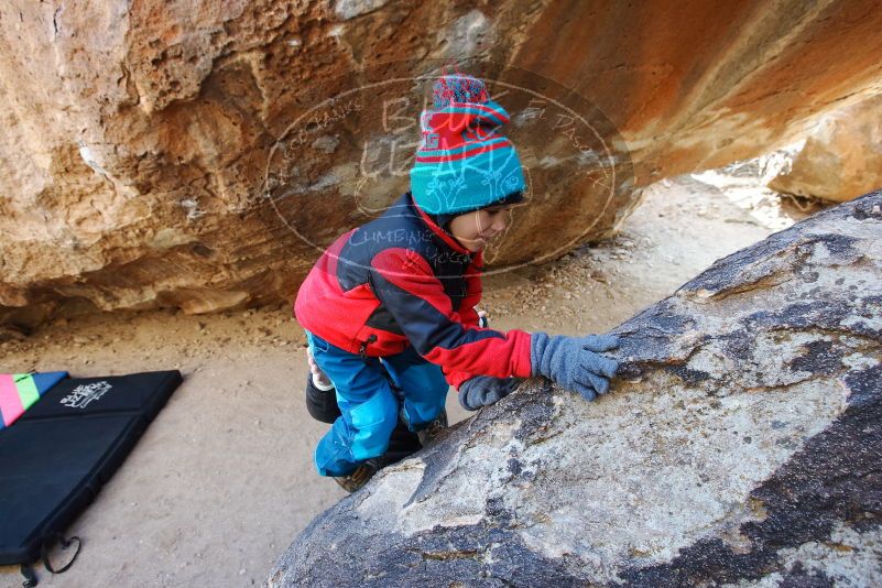 Bouldering in Hueco Tanks on 01/02/2019 with Blue Lizard Climbing and Yoga

Filename: SRM_20190102_1038280.jpg
Aperture: f/5.0
Shutter Speed: 1/125
Body: Canon EOS-1D Mark II
Lens: Canon EF 16-35mm f/2.8 L