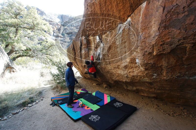 Bouldering in Hueco Tanks on 01/02/2019 with Blue Lizard Climbing and Yoga

Filename: SRM_20190102_1042110.jpg
Aperture: f/5.0
Shutter Speed: 1/320
Body: Canon EOS-1D Mark II
Lens: Canon EF 16-35mm f/2.8 L