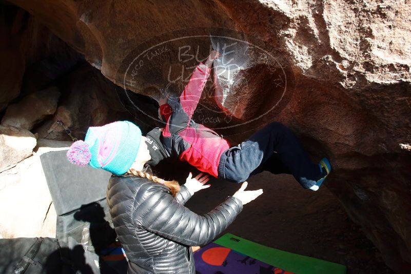 Bouldering in Hueco Tanks on 01/02/2019 with Blue Lizard Climbing and Yoga

Filename: SRM_20190102_1058070.jpg
Aperture: f/5.0
Shutter Speed: 1/1000
Body: Canon EOS-1D Mark II
Lens: Canon EF 16-35mm f/2.8 L