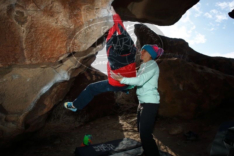 Bouldering in Hueco Tanks on 01/02/2019 with Blue Lizard Climbing and Yoga

Filename: SRM_20190102_1117520.jpg
Aperture: f/8.0
Shutter Speed: 1/250
Body: Canon EOS-1D Mark II
Lens: Canon EF 16-35mm f/2.8 L