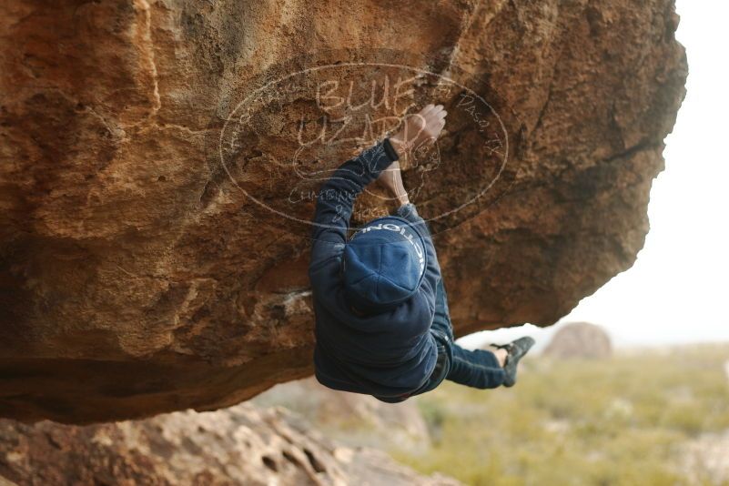 Bouldering in Hueco Tanks on 01/02/2019 with Blue Lizard Climbing and Yoga

Filename: SRM_20190102_1456420.jpg
Aperture: f/2.8
Shutter Speed: 1/400
Body: Canon EOS-1D Mark II
Lens: Canon EF 50mm f/1.8 II