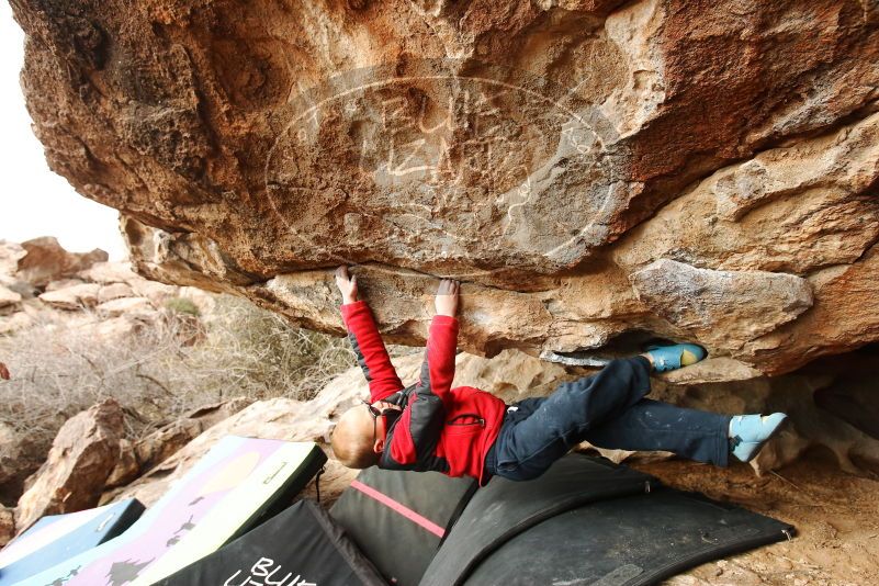 Bouldering in Hueco Tanks on 01/02/2019 with Blue Lizard Climbing and Yoga

Filename: SRM_20190102_1546450.jpg
Aperture: f/5.6
Shutter Speed: 1/320
Body: Canon EOS-1D Mark II
Lens: Canon EF 16-35mm f/2.8 L