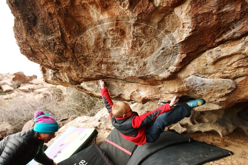 Bouldering in Hueco Tanks on 01/02/2019 with Blue Lizard Climbing and Yoga

Filename: SRM_20190102_1546470.jpg
Aperture: f/5.6
Shutter Speed: 1/320
Body: Canon EOS-1D Mark II
Lens: Canon EF 16-35mm f/2.8 L