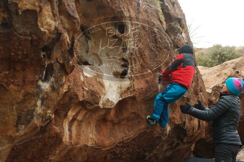 Bouldering in Hueco Tanks on 01/02/2019 with Blue Lizard Climbing and Yoga

Filename: SRM_20190102_1656480.jpg
Aperture: f/3.5
Shutter Speed: 1/320
Body: Canon EOS-1D Mark II
Lens: Canon EF 50mm f/1.8 II