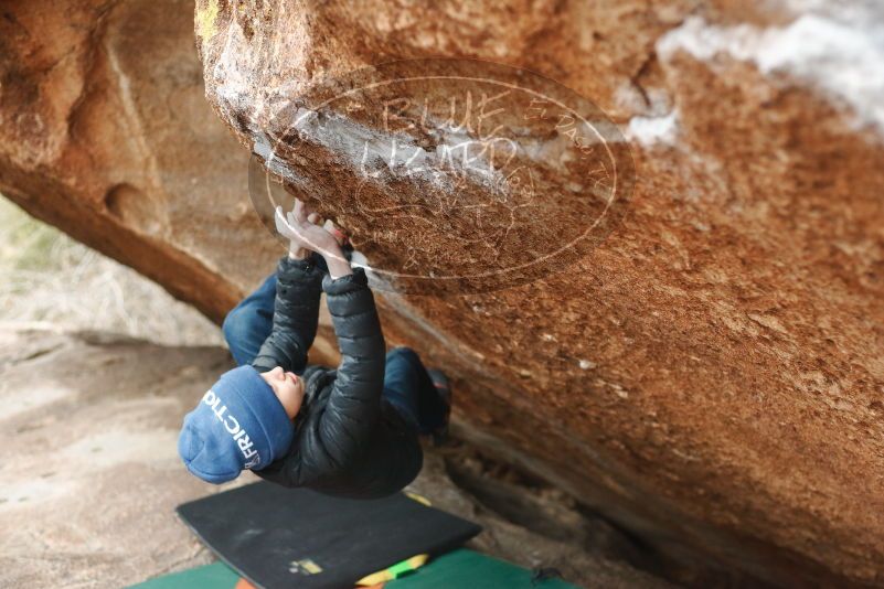 Bouldering in Hueco Tanks on 01/02/2019 with Blue Lizard Climbing and Yoga

Filename: SRM_20190102_1703560.jpg
Aperture: f/2.8
Shutter Speed: 1/200
Body: Canon EOS-1D Mark II
Lens: Canon EF 50mm f/1.8 II