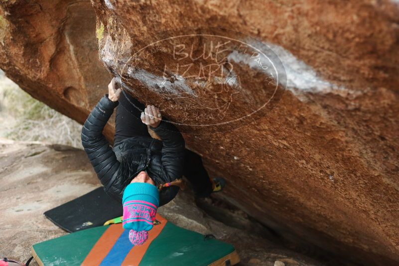 Bouldering in Hueco Tanks on 01/02/2019 with Blue Lizard Climbing and Yoga

Filename: SRM_20190102_1714100.jpg
Aperture: f/3.2
Shutter Speed: 1/250
Body: Canon EOS-1D Mark II
Lens: Canon EF 50mm f/1.8 II