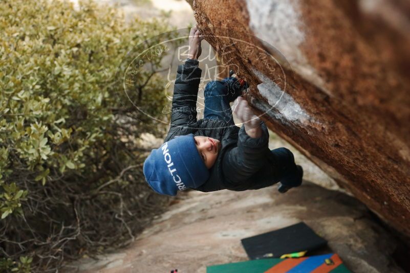 

Filename: SRM_20190102_1715220.jpg
Aperture: f/3.5
Shutter Speed: 1/250
Body: Canon EOS-1D Mark II
Lens: Canon EF 50mm f/1.8 II