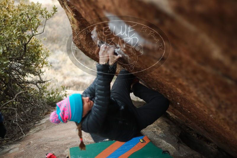 Bouldering in Hueco Tanks on 01/02/2019 with Blue Lizard Climbing and Yoga

Filename: SRM_20190102_1717520.jpg
Aperture: f/2.2
Shutter Speed: 1/320
Body: Canon EOS-1D Mark II
Lens: Canon EF 50mm f/1.8 II