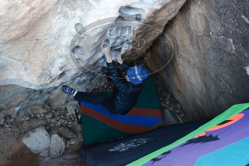 Bouldering in Hueco Tanks on 01/01/2019 with Blue Lizard Climbing and Yoga

Filename: SRM_20190101_1023510.jpg
Aperture: f/3.2
Shutter Speed: 1/200
Body: Canon EOS-1D Mark II
Lens: Canon EF 16-35mm f/2.8 L