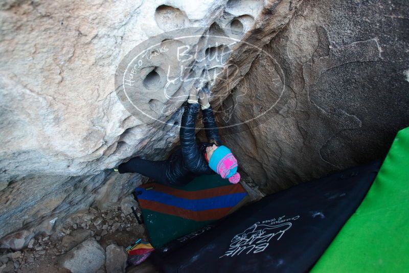 Bouldering in Hueco Tanks on 01/01/2019 with Blue Lizard Climbing and Yoga

Filename: SRM_20190101_1030300.jpg
Aperture: f/3.2
Shutter Speed: 1/160
Body: Canon EOS-1D Mark II
Lens: Canon EF 16-35mm f/2.8 L
