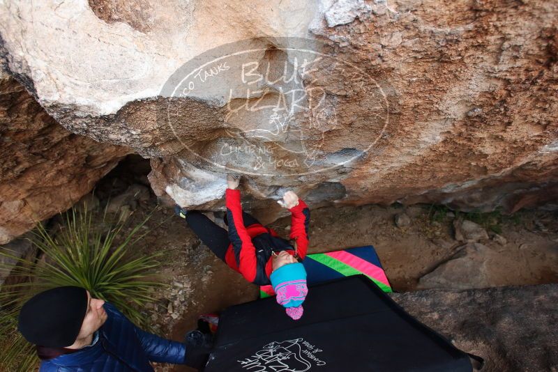 Bouldering in Hueco Tanks on 01/01/2019 with Blue Lizard Climbing and Yoga

Filename: SRM_20190101_1057400.jpg
Aperture: f/4.0
Shutter Speed: 1/250
Body: Canon EOS-1D Mark II
Lens: Canon EF 16-35mm f/2.8 L