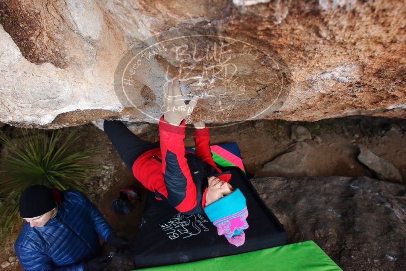 Bouldering in Hueco Tanks on 01/01/2019 with Blue Lizard Climbing and Yoga

Filename: SRM_20190101_1058001.jpg
Aperture: f/4.5
Shutter Speed: 1/250
Body: Canon EOS-1D Mark II
Lens: Canon EF 16-35mm f/2.8 L