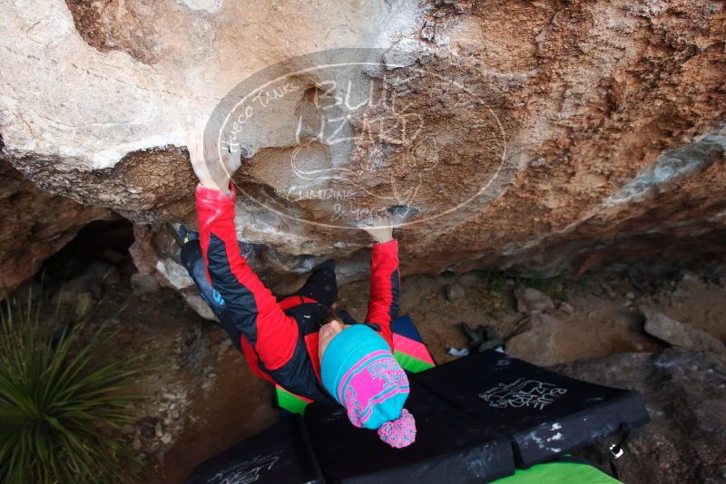 Bouldering in Hueco Tanks on 01/01/2019 with Blue Lizard Climbing and Yoga

Filename: SRM_20190101_1109550.jpg
Aperture: f/4.5
Shutter Speed: 1/250
Body: Canon EOS-1D Mark II
Lens: Canon EF 16-35mm f/2.8 L
