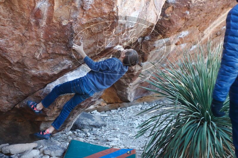Bouldering in Hueco Tanks on 01/01/2019 with Blue Lizard Climbing and Yoga

Filename: SRM_20190101_1313050.jpg
Aperture: f/3.2
Shutter Speed: 1/250
Body: Canon EOS-1D Mark II
Lens: Canon EF 50mm f/1.8 II