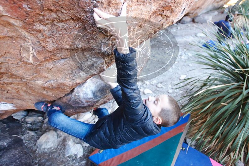 Bouldering in Hueco Tanks on 01/01/2019 with Blue Lizard Climbing and Yoga

Filename: SRM_20190101_1336100.jpg
Aperture: f/2.8
Shutter Speed: 1/250
Body: Canon EOS-1D Mark II
Lens: Canon EF 16-35mm f/2.8 L