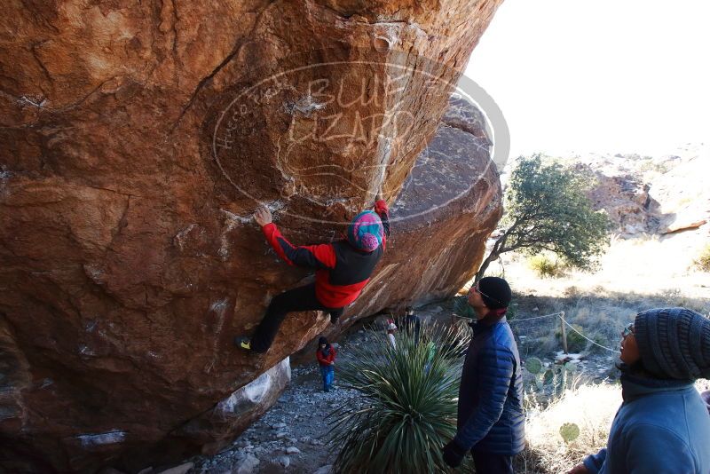 Bouldering in Hueco Tanks on 01/01/2019 with Blue Lizard Climbing and Yoga

Filename: SRM_20190101_1351070.jpg
Aperture: f/7.1
Shutter Speed: 1/250
Body: Canon EOS-1D Mark II
Lens: Canon EF 16-35mm f/2.8 L