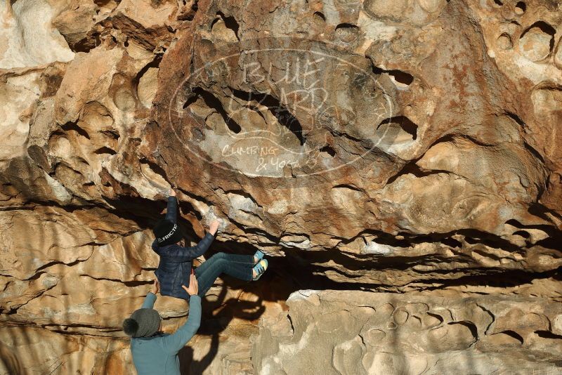 Bouldering in Hueco Tanks on 01/01/2019 with Blue Lizard Climbing and Yoga

Filename: SRM_20190101_1704380.jpg
Aperture: f/4.0
Shutter Speed: 1/800
Body: Canon EOS-1D Mark II
Lens: Canon EF 50mm f/1.8 II