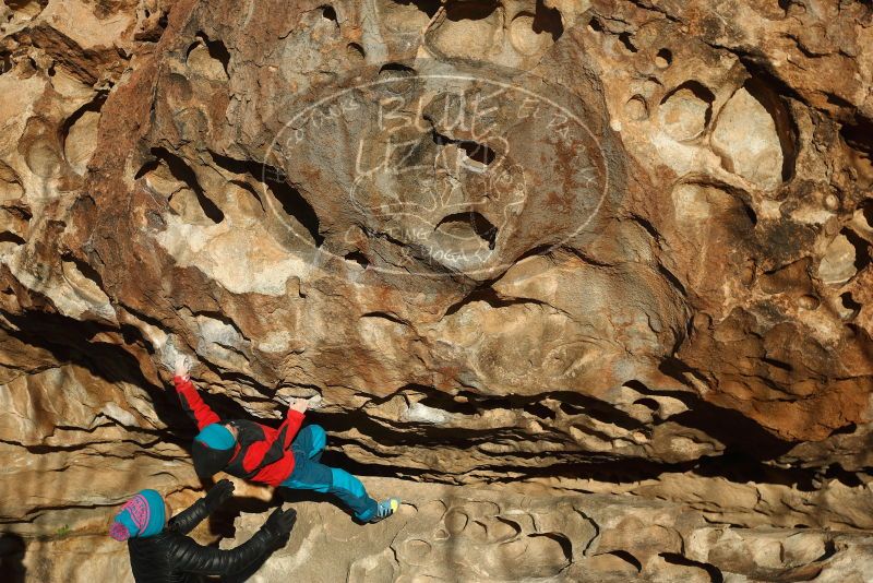 Bouldering in Hueco Tanks on 01/01/2019 with Blue Lizard Climbing and Yoga

Filename: SRM_20190101_1706030.jpg
Aperture: f/4.0
Shutter Speed: 1/800
Body: Canon EOS-1D Mark II
Lens: Canon EF 50mm f/1.8 II