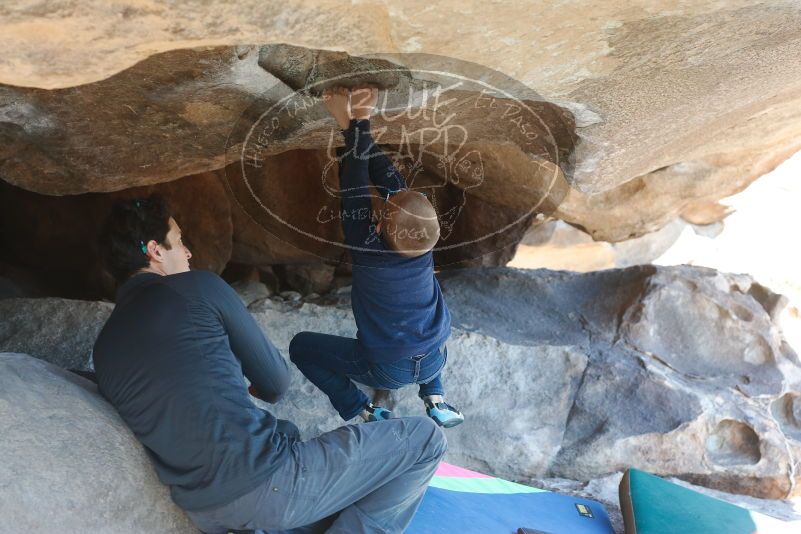 Bouldering in Hueco Tanks on 12/31/2018 with Blue Lizard Climbing and Yoga

Filename: SRM_20181231_1508160.jpg
Aperture: f/4.0
Shutter Speed: 1/125
Body: Canon EOS-1D Mark II
Lens: Canon EF 50mm f/1.8 II