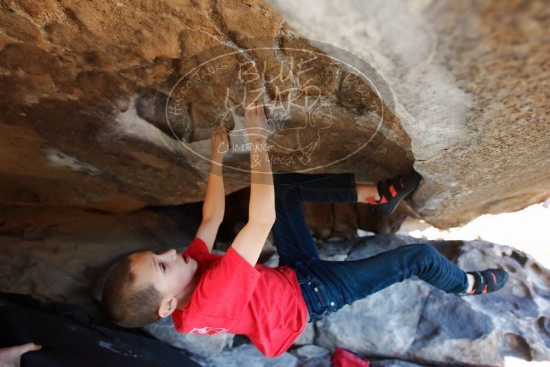 Bouldering in Hueco Tanks on 12/31/2018 with Blue Lizard Climbing and Yoga

Filename: SRM_20181231_1554040.jpg
Aperture: f/3.5
Shutter Speed: 1/250
Body: Canon EOS-1D Mark II
Lens: Canon EF 16-35mm f/2.8 L