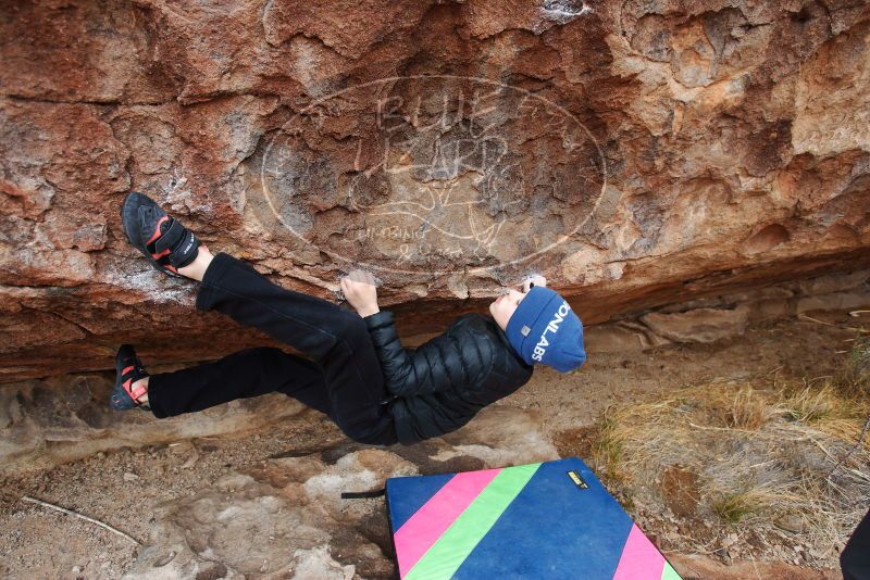 Bouldering in Hueco Tanks on 12/28/2018 with Blue Lizard Climbing and Yoga

Filename: SRM_20181228_1010480.jpg
Aperture: f/4.0
Shutter Speed: 1/200
Body: Canon EOS-1D Mark II
Lens: Canon EF 16-35mm f/2.8 L