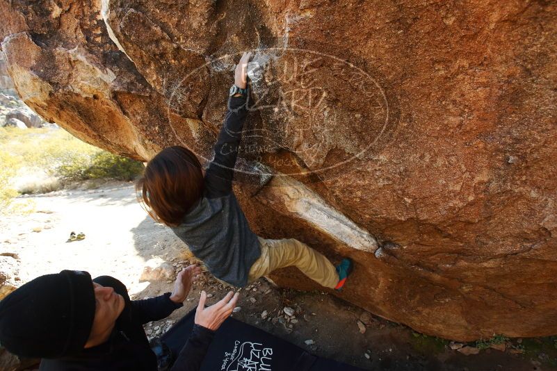 Bouldering in Hueco Tanks on 01/05/2019 with Blue Lizard Climbing and Yoga

Filename: SRM_20190105_1149340.jpg
Aperture: f/5.0
Shutter Speed: 1/250
Body: Canon EOS-1D Mark II
Lens: Canon EF 16-35mm f/2.8 L