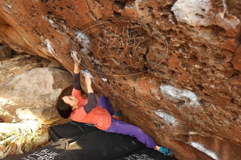 Bouldering in Hueco Tanks on 01/05/2019 with Blue Lizard Climbing and Yoga

Filename: SRM_20190105_1748550.jpg
Aperture: f/4.0
Shutter Speed: 1/200
Body: Canon EOS-1D Mark II
Lens: Canon EF 16-35mm f/2.8 L