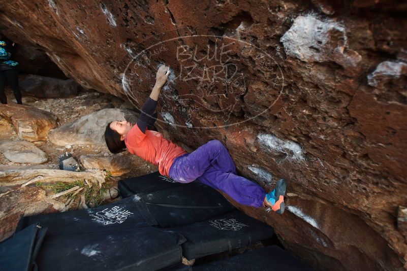 Bouldering in Hueco Tanks on 01/05/2019 with Blue Lizard Climbing and Yoga

Filename: SRM_20190105_1805080.jpg
Aperture: f/2.8
Shutter Speed: 1/160
Body: Canon EOS-1D Mark II
Lens: Canon EF 16-35mm f/2.8 L
