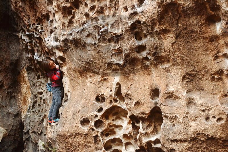 Bouldering in Hueco Tanks on 01/06/2019 with Blue Lizard Climbing and Yoga

Filename: SRM_20190106_1140390.jpg
Aperture: f/3.2
Shutter Speed: 1/100
Body: Canon EOS-1D Mark II
Lens: Canon EF 50mm f/1.8 II