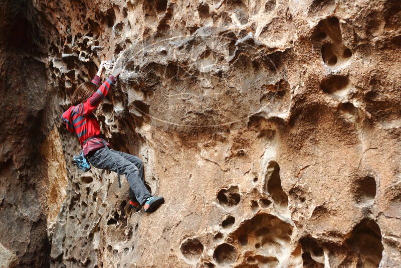 Bouldering in Hueco Tanks on 01/06/2019 with Blue Lizard Climbing and Yoga

Filename: SRM_20190106_1140510.jpg
Aperture: f/3.2
Shutter Speed: 1/100
Body: Canon EOS-1D Mark II
Lens: Canon EF 50mm f/1.8 II