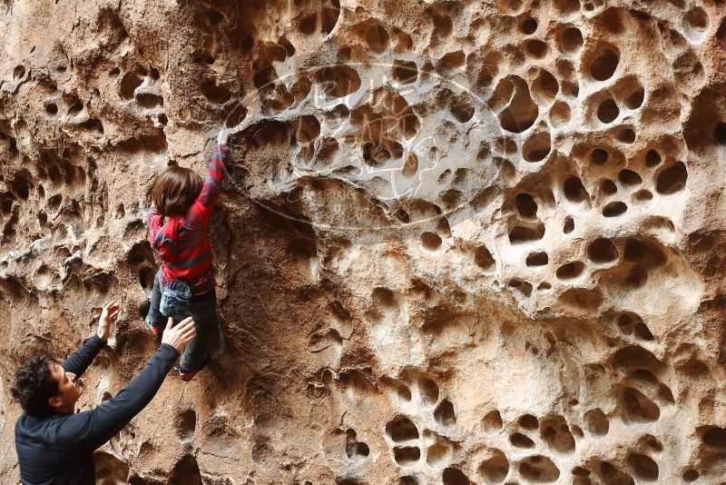 Bouldering in Hueco Tanks on 01/06/2019 with Blue Lizard Climbing and Yoga

Filename: SRM_20190106_1142000.jpg
Aperture: f/3.5
Shutter Speed: 1/100
Body: Canon EOS-1D Mark II
Lens: Canon EF 50mm f/1.8 II