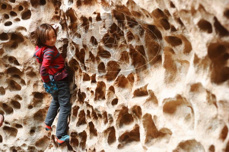Bouldering in Hueco Tanks on 01/06/2019 with Blue Lizard Climbing and Yoga

Filename: SRM_20190106_1143390.jpg
Aperture: f/3.2
Shutter Speed: 1/100
Body: Canon EOS-1D Mark II
Lens: Canon EF 50mm f/1.8 II